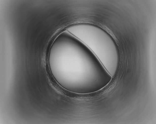 X0000113370530200909151029