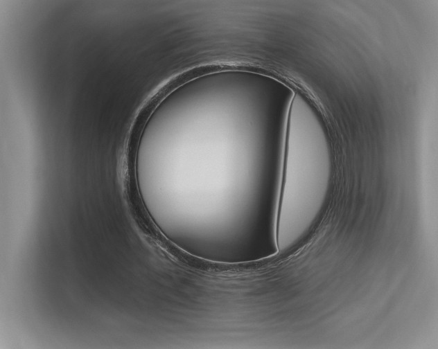 X0000113370532200909151029
