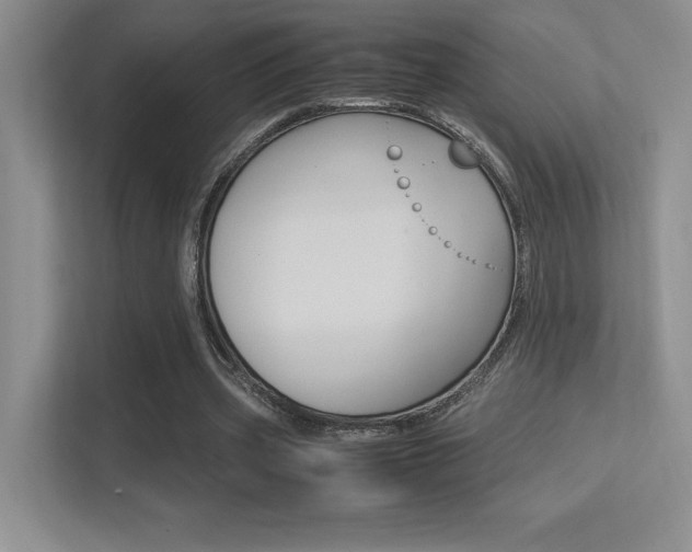 X0000113370533200909151029