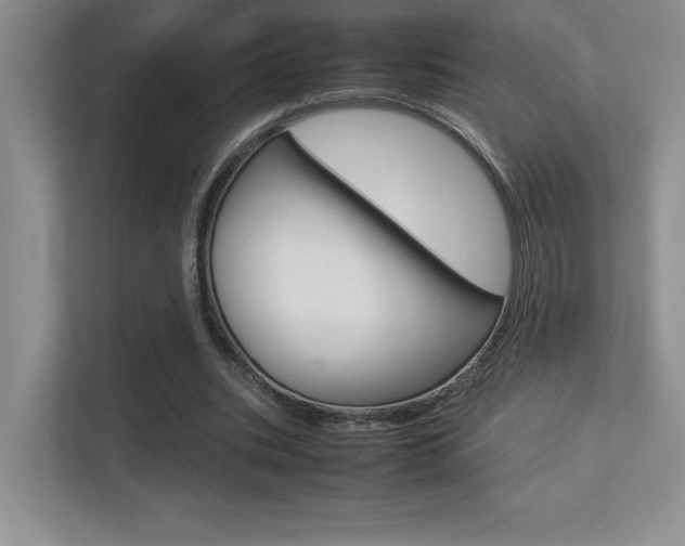X0000113370535200909151029