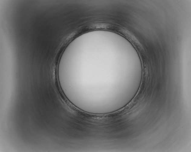 X0000113370537200909151029