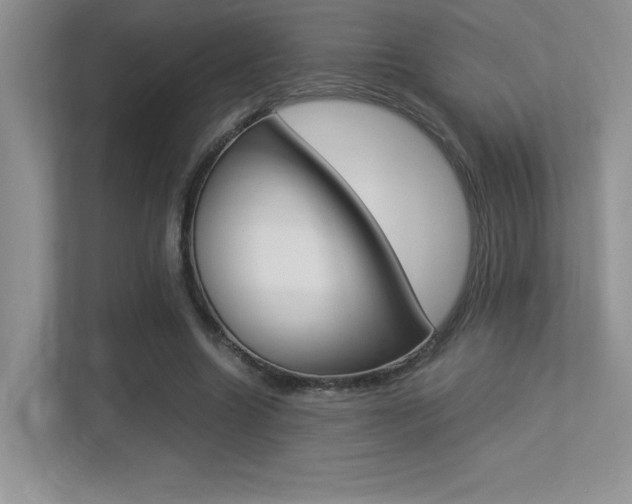 X0000113370538200909151029