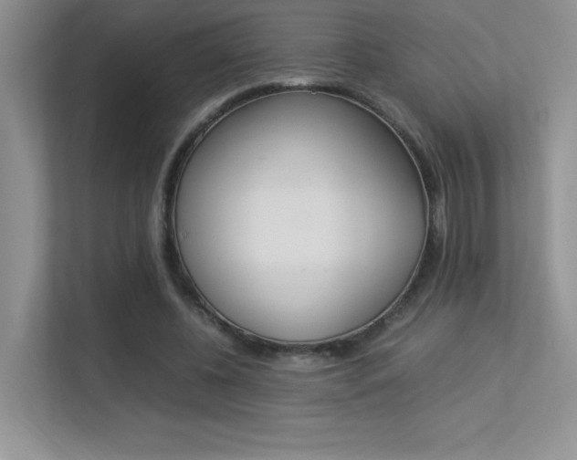 X0000113370540200909151029