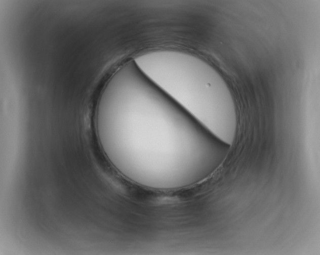 X0000113370543200909151029