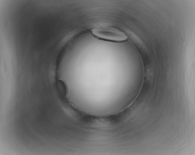 X0000113370544200909151029