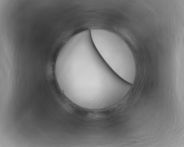 X0000113370545200909151029