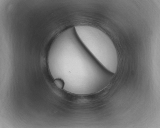 X0000113370547200909151029