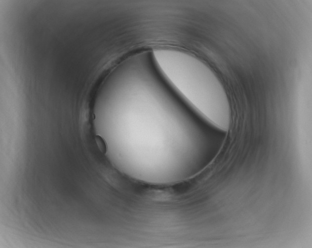X0000113370548200909151029