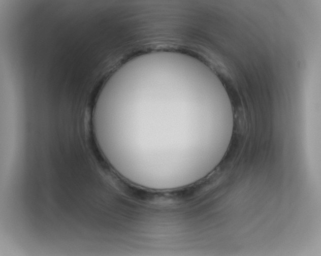 X0000113370550200909151029