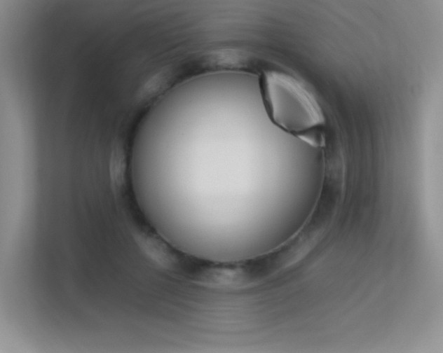 X0000113370552200909151029