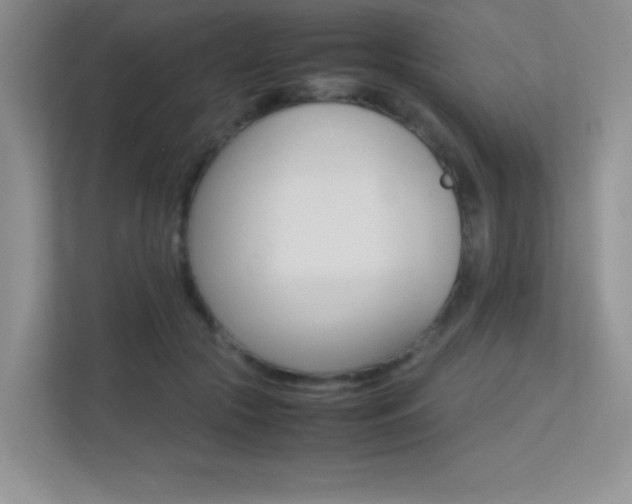 X0000113370553200909151029