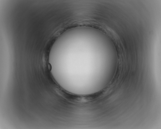X0000113370558200909151029