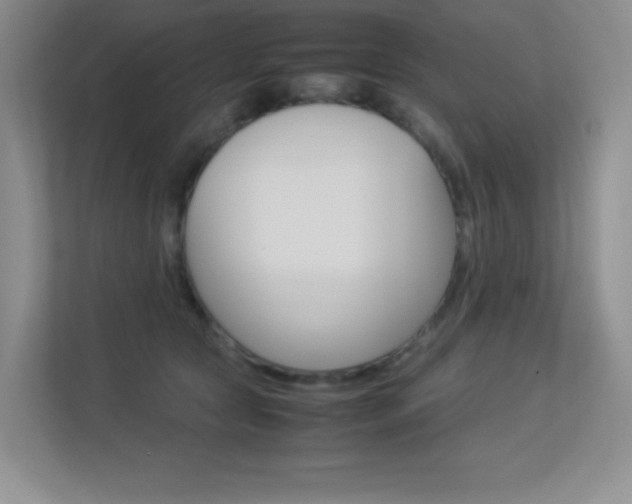 X0000113370561200909151029