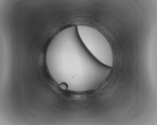 X0000113370563200909151029