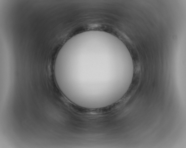 X0000113370565200909151029