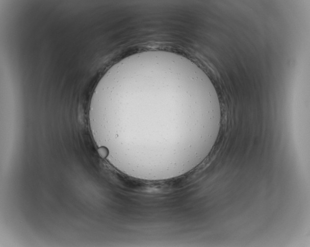 X0000113370569200909151029