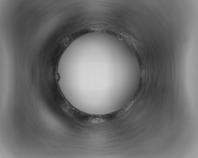 X0000113370572200909151029