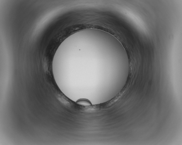 X0000113370574200909151029
