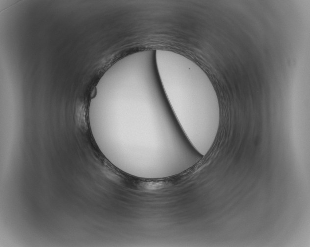 X0000113370575200909151029