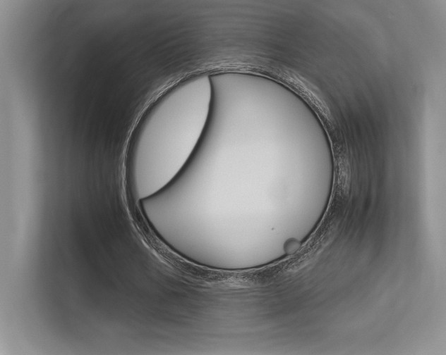 X0000113370578200909151028
