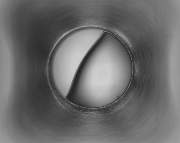 X0000113370580200909151028