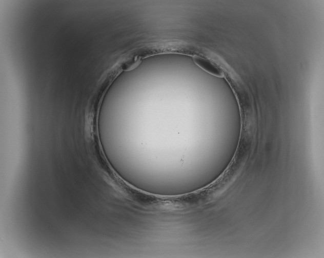 X0000113370585200909151028