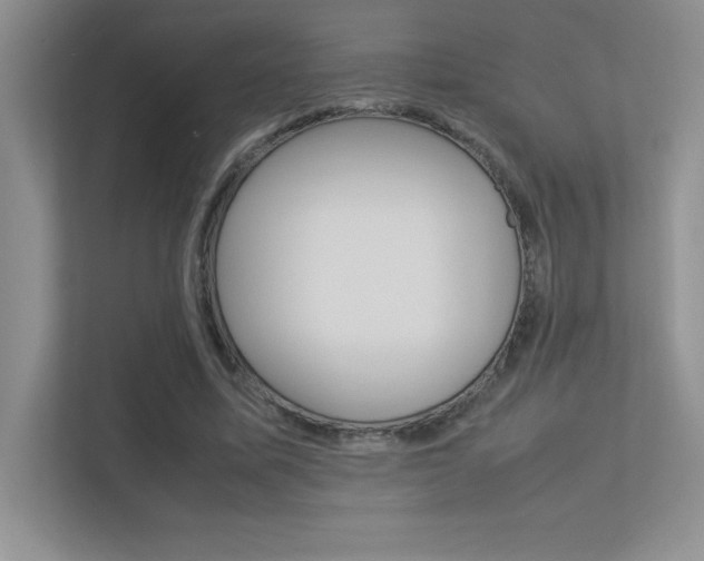 X0000113370587200909151028