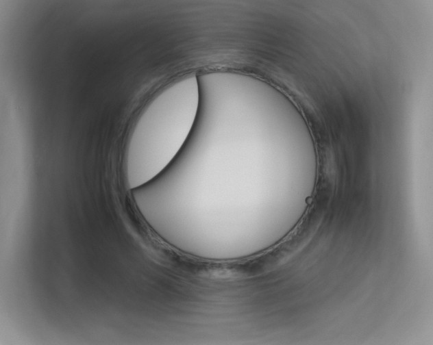 X0000113370590200909151028