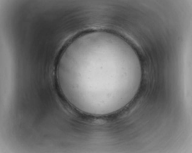 X0000113370592200909151028