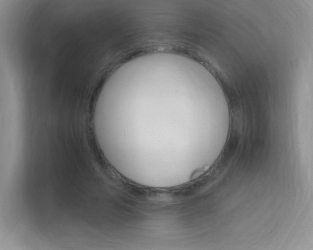 X0000113370594200909151028