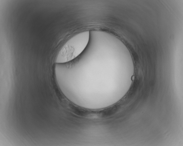 X0000113370595200909151028