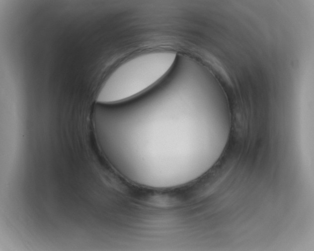 X0000113370596200909151028