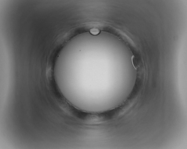 X0000113370597200909151028