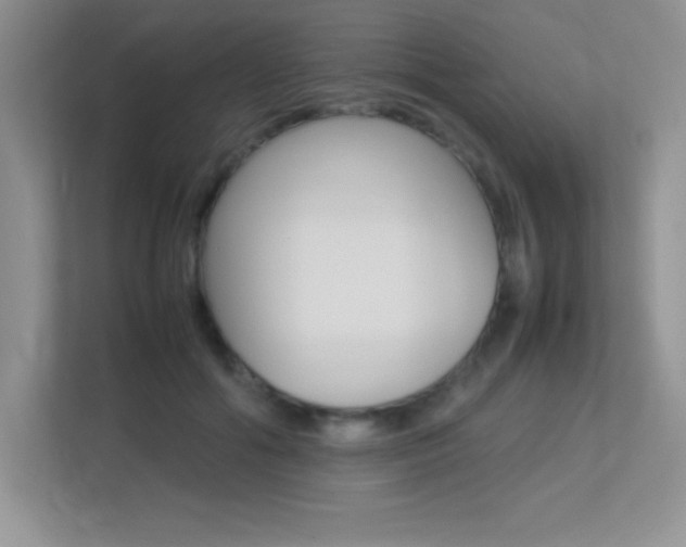 X0000113370602200909151028