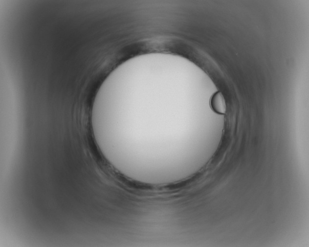 X0000113370603200909151028