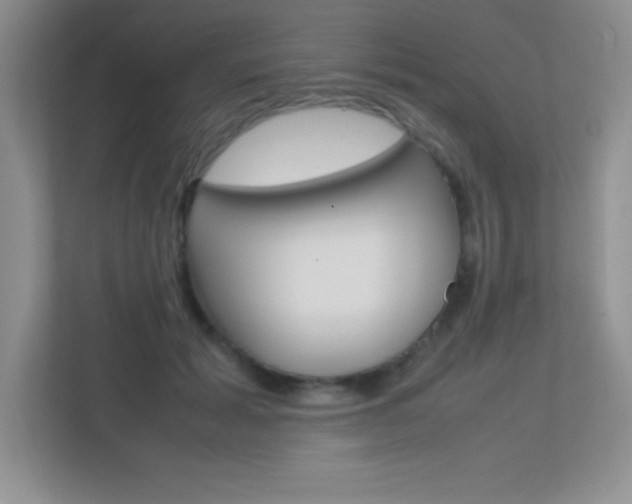 X0000113370605200909151028