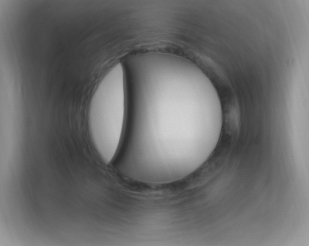 X0000113370608200909151028