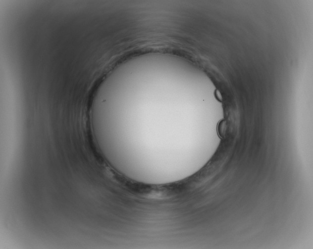 X0000113370612200909151028