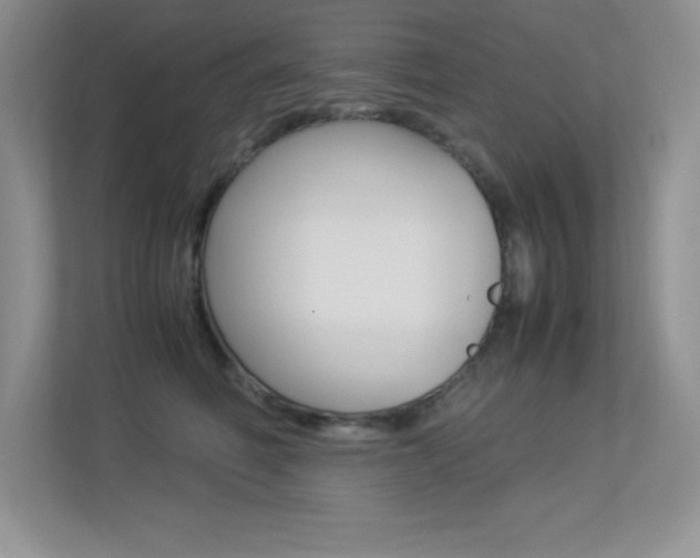 X0000113370614200909151028