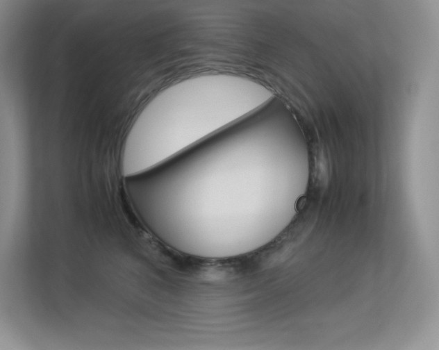 X0000113370616200909151028
