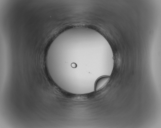 X0000113370619200909151028