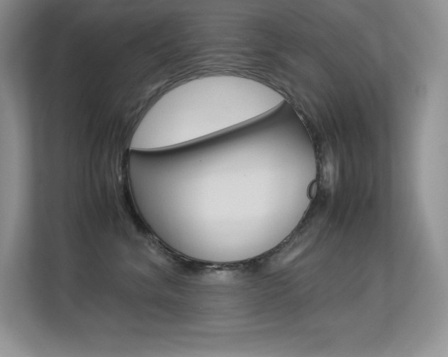 X0000113370620200909151028