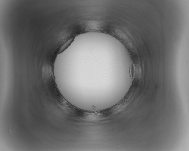 X0000113370621200909151028