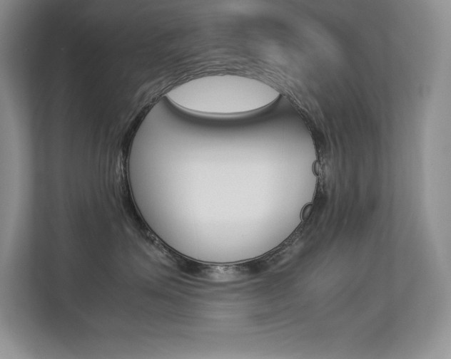 X0000113370623200909151028