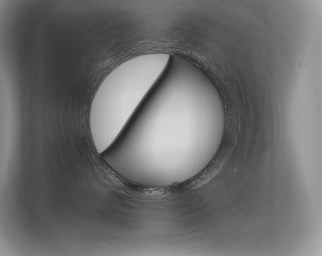 X0000113370624200909151028