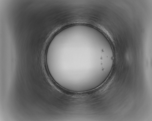 X0000113370625200909151027