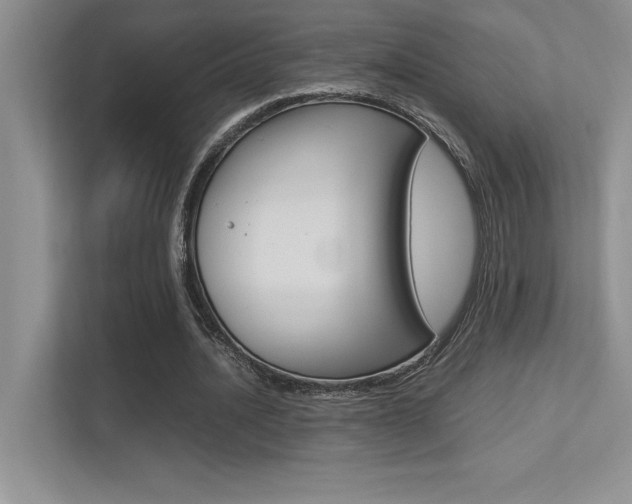 X0000113370628200909151027