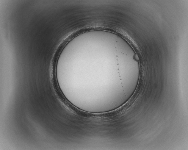 X0000113370629200909151027