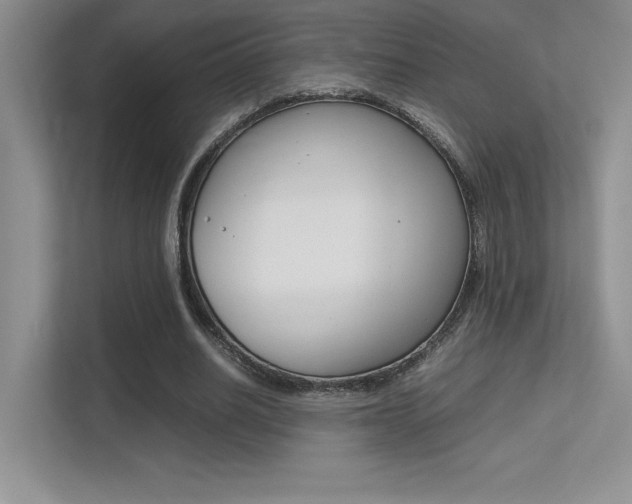 X0000113370630200909151027