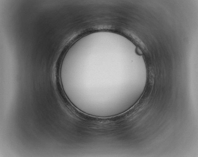 X0000113370631200909151027